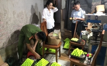 Yên Bái: Tạm giữ 33.500 quả bóng golf có dấu hiệu giả mạo nhãn hiệu
