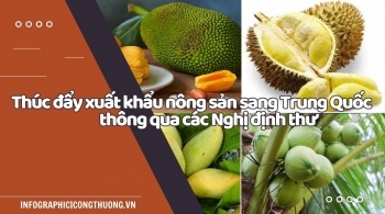 Infographic | Thúc đẩy xuất khẩu nông sản sang Trung Quốc thông qua các Nghị định thư