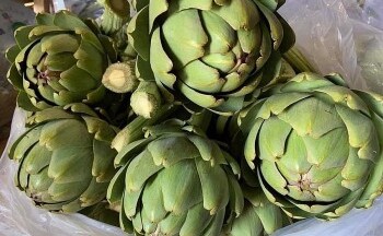 Uống atiso hàng ngày có tốt không?
