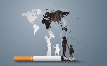 Ngành công nghiệp thuốc lá: Ô nhiễm môi trường và ảnh hưởng sức khỏe toàn cầu