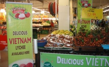 Chanh dây và vải thiều Việt Nam đứng trước cơ hội xuất khẩu sang Hàn Quốc