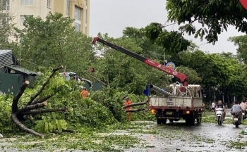 Khu vực Hà Đông nhanh chóng dọn dẹp cây gẫy đổ sau bão số 3, đón mưa lớn có thể xảy ra
