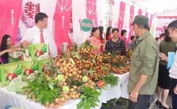 Hải Dương lan tỏa Cuộc vận động 'Người Việt Nam ưu tiên dùng hàng Việt Nam'