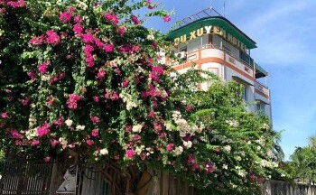Thanh Hóa: 'Bêu tên' hàng trăm doanh nghiệp vi phạm Luật Đất đai