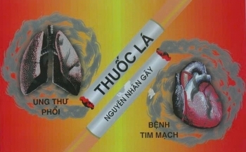 Thuốc lá thế hệ mới tấn công giới trẻ: Cạm bẫy dưới tên gọi mỹ miều