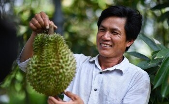 Tuân thủ các quy định SPS trong Hiệp định EVFTA