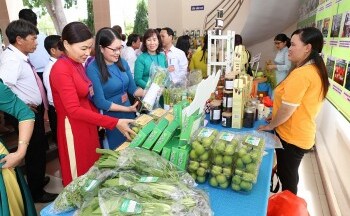 Ninh Thuận: Kết nối giao thương xuất khẩu hàng hóa khu vực Nam Trung Bộ với doanh nghiệp Hàn Quốc