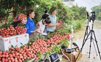 Bán hàng livestream: Giải pháp đột phá cho tiêu thụ nông sản Việt