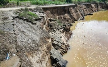 Cận cảnh tuyến kè đê sông Mã bị sạt lở nghiêm trọng