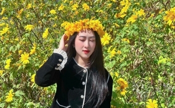 Ngắm hoa dã quỳ khoe sắc trên triền núi lửa Chư Đang Ya mùa lễ hội