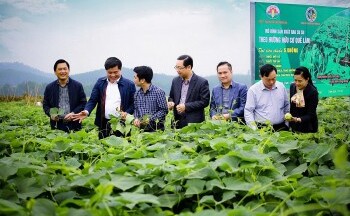 Tập đoàn Quế Lâm: Hướng tới môi trường xanh vì chất lượng cuộc sống người dân