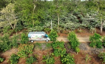 Những giải pháp hay giúp 
