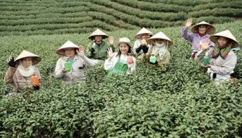 Từ 