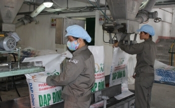 Công ty CP DAP - Vinachem đặt kế hoạch tiêu thụ 56.000 tấn DAP trong quý IV