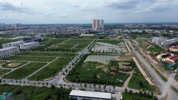 Chuyên gia hiến kế bịt kẽ hở trong đấu giá đất
