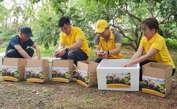 Trên 5,5 triệu hộ sản xuất nông nghiệp được hỗ trợ lên sàn thương mại điện tử