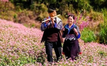 Yên Bái: Sắp diễn ra Festival khèn Mông, Lễ hội hoa Tớ dày tại huyện Mù Cang Chải