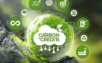 Doanh nghiệp năng lượng vào thị trường carbon còn gặp khó vì thủ tục