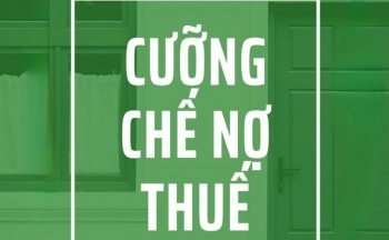 Bà Rịa – Vũng Tàu: Cưỡng chế thuế 6 doanh nghiệp