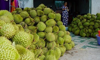 Xuất khẩu rau quả của Việt Nam sang Trung Quốc tăng 27,3%