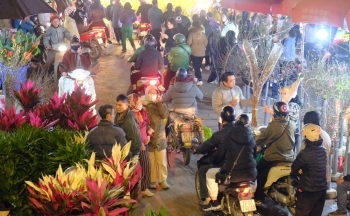 Hà Nội: Chợ hoa lớn bậc nhất đông nghịt đêm cuối năm