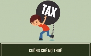 Yên Bái: Cưỡng chế thuế, ngừng sử dụng hóa đơn Công ty Long Phú Cường