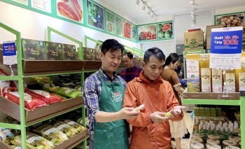 Yên Bái: Đẩy mạnh xây dựng thương hiệu, quảng bá sản phẩm