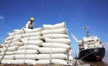 Tiêu điểm kinh tế tuần qua: Giá vàng lập đỉnh mới
