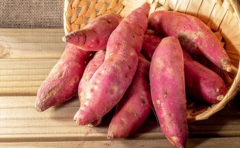 Điều gì xảy ra nếu bạn ăn khoai lang mỗi ngày?