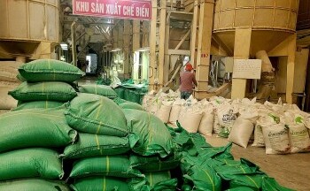 Giá lúa giảm sâu, nông dân mong chờ chính sách hỗ trợ