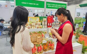 Kênh bán lẻ hiện đại: Đầu ra bền vững cho rau quả