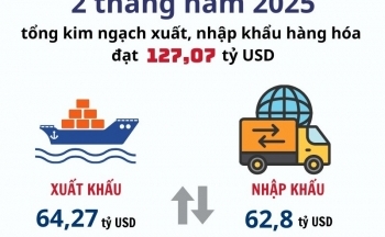 Infographic | Kim ngạch xuất, nhập khẩu hàng hóa đạt 127,07 tỷ USD