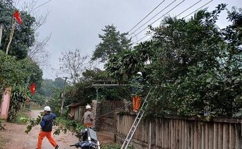 EVNCPC: Tăng quản lý hành lang tuyến để đảm bảo an toàn trong vận hành