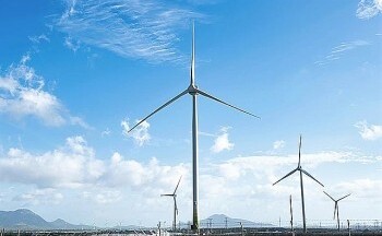 Hậu Giang chấm dứt hoạt động dự án điện gió 3.220 tỷ đồng