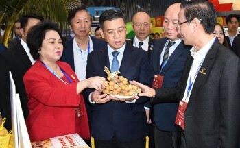 HCM City Export 2025: Kết nối giao thương, mở rộng xuất khẩu