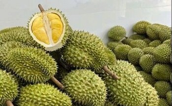 Xuất khẩu sầu riêng giảm mạnh, đâu là nguyên nhân?
