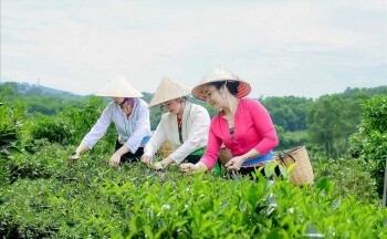 Chính sách giảm nghèo tạo dựng sinh kế bền vững cho đồng bào dân tộc Thủ đô