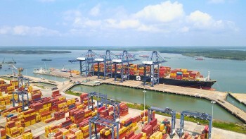 Cảng Việt tăng chuyến, mở tuyến: Cú huých cho logistics