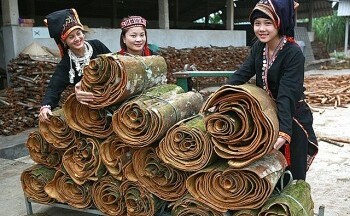 Bản làng Yên Bái bừng sáng với những 'mùa vàng' xuất khẩu