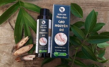 Phát triển dược liệu – Nâng cao sinh kế cho đồng bào người Dao Nặm Đăm