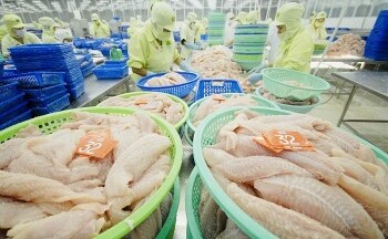 Xuất khẩu thủy sản của Việt Nam sang Trung Quốc bứt phá