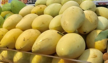 Xoài Việt Nam được ưa chuộng ở thị trường nước ngoài
