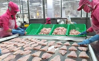 Mở rộng thị trường tạo động lực ngành cá tra tăng trưởng