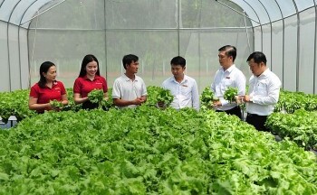 Agribank tăng quy mô và mở rộng cho vay ưu đãi lĩnh vực nông, lâm, thủy sản