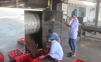 Doanh nghiệp công nghiệp nông thôn: Chi phí sản xuất tăng không dưới 10%