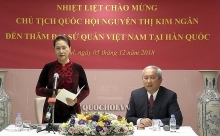 NA Chairwoman meets with Vietnamese community in RoK