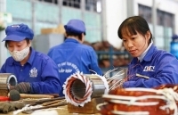 Định kiến giới đang là rào cản đối với sự phát triển, tiến bộ của phụ nữ