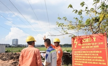 EVNHANOI khuyến cáo vi phạm hành lang bảo vệ an toàn lưới điện