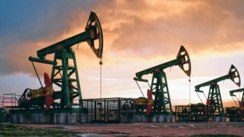 IEA và OPEC: Hai kịch bản cho thị trường dầu năm 2026