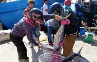 Khắc phục 